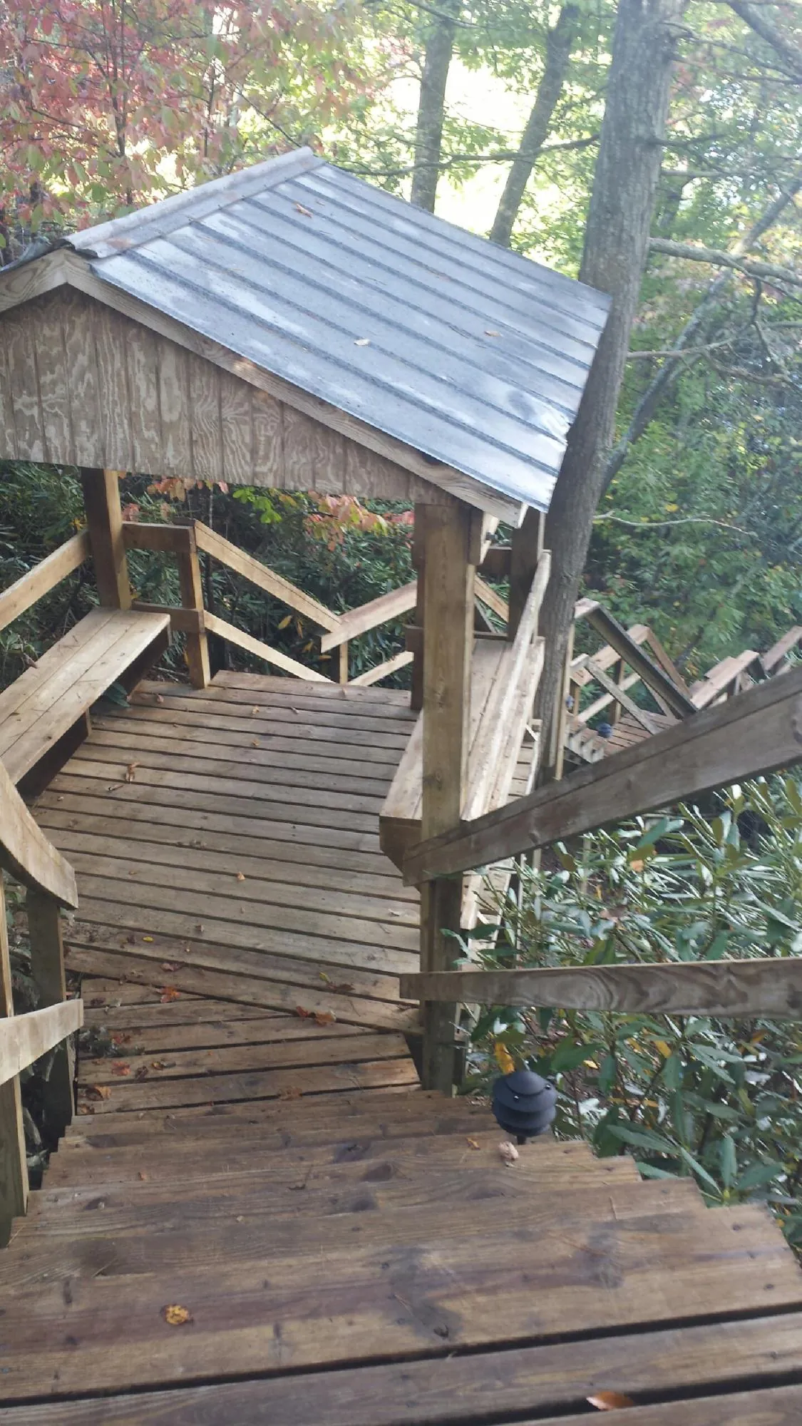 Metal roofed shelter over wooden steps on a wooded walkway — Skylight Repair & Installation work by our crew in Oldsmar